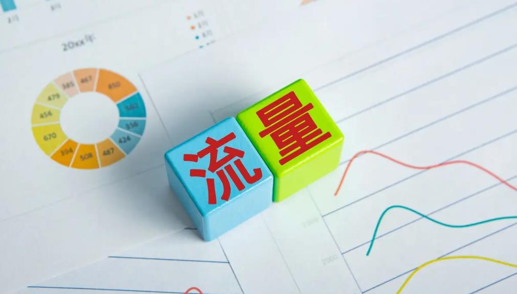 哪些因素影響網(wǎng)站自然搜索流量？